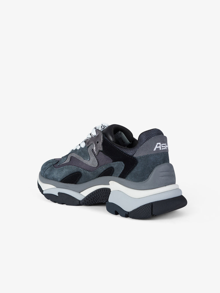 ASH sneakers donna addict 01 pelle grigio