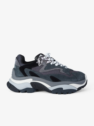 ASH sneakers donna addict 01 pelle grigio