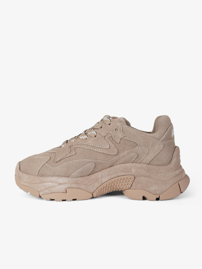 ASH sneakers donna addict bis 03 pelle beige