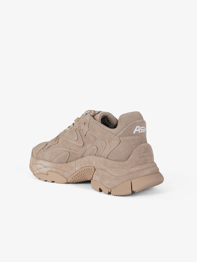 ASH sneakers donna addict bis 03 pelle beige