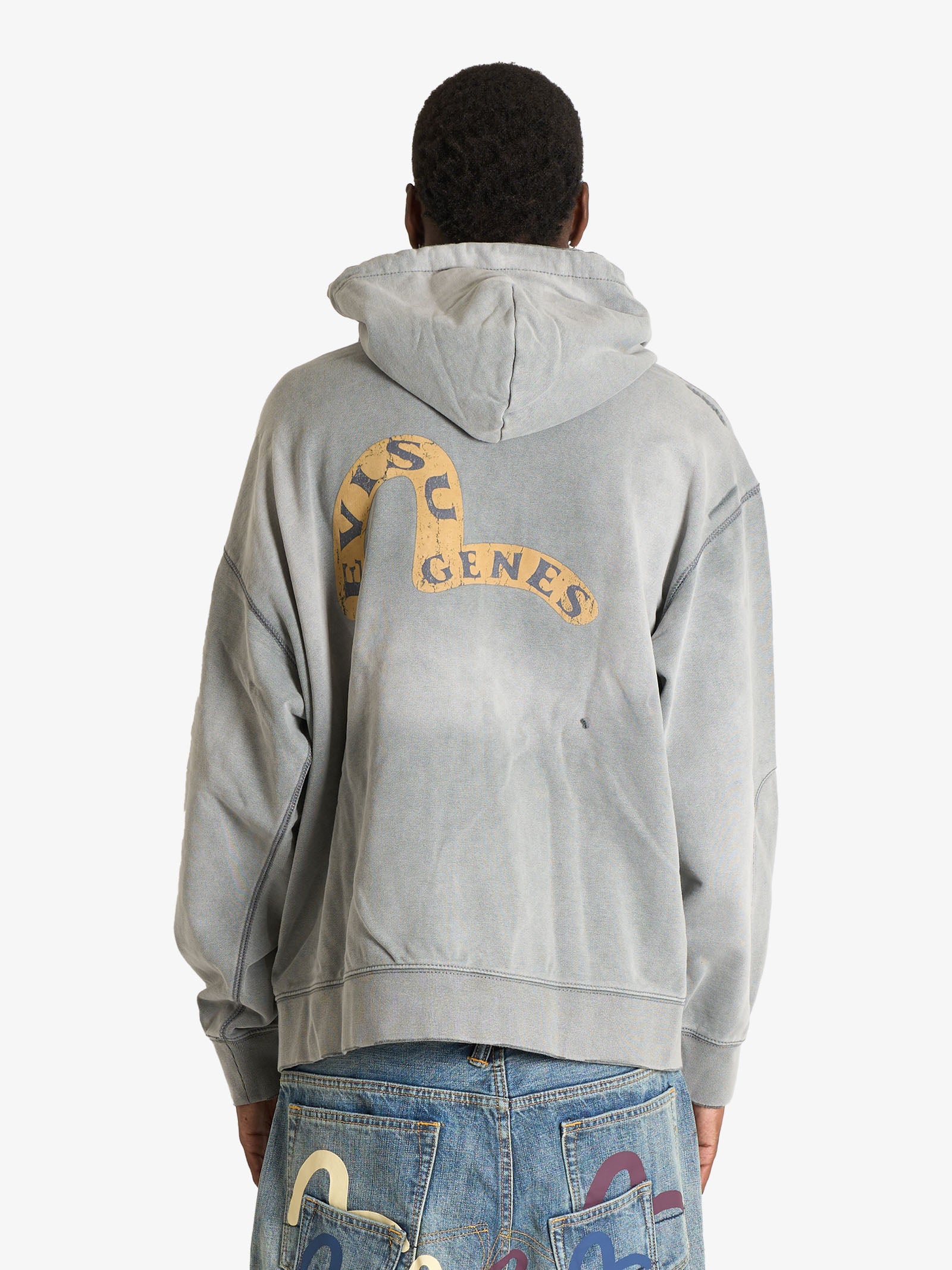 EVISU エヴィス ウェアハウスコラボ EVISU Men's Gray Genes Logo Zip-Up Hoodie